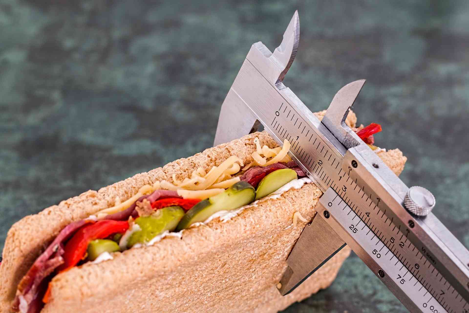 бутерброд измеряемый линейкой